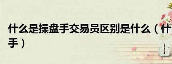 什么是操盘手交易员区别是什么（什么是操盘手）