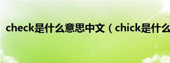 check是什么意思中文（chick是什么意思）