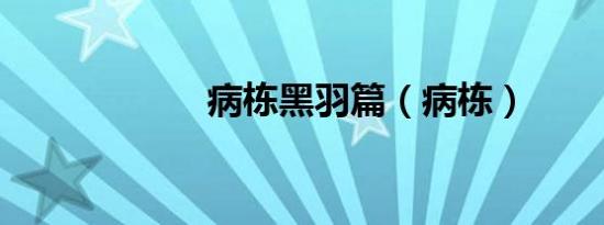病栋黑羽篇（病栋）