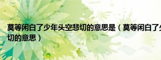 莫等闲白了少年头空悲切的意思是（莫等闲白了少年头空悲切的意思）