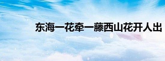 东海一花牵一藤西山花开人出