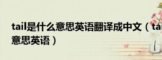 tail是什么意思英语翻译成中文（tail是什么意思英语）