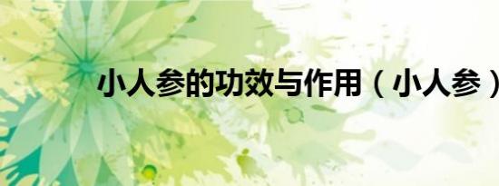 小人参的功效与作用（小人参）