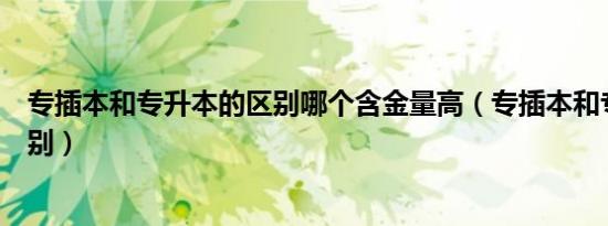 专插本和专升本的区别哪个含金量高（专插本和专升本的区别）