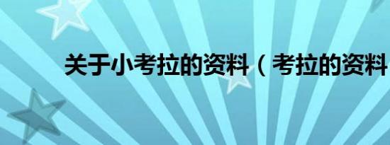 关于小考拉的资料（考拉的资料）