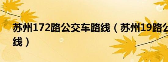 苏州172路公交车路线（苏州19路公交车路线）