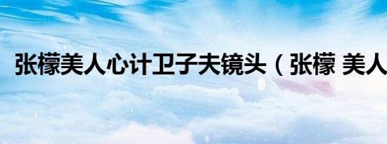 张檬美人心计卫子夫镜头（张檬 美人心计）