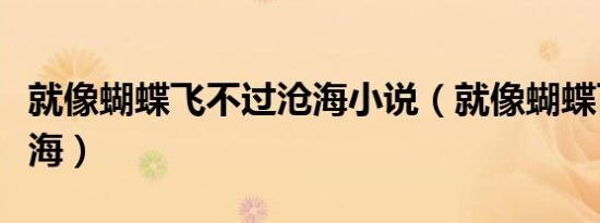 就像蝴蝶飞不过沧海小说（就像蝴蝶飞不过沧海）
