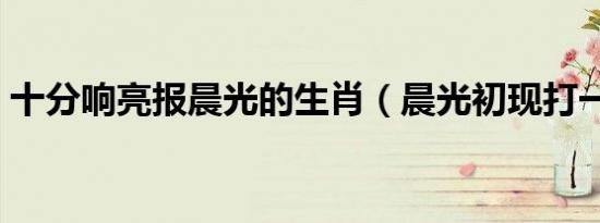 十分响亮报晨光的生肖（晨光初现打一生肖）