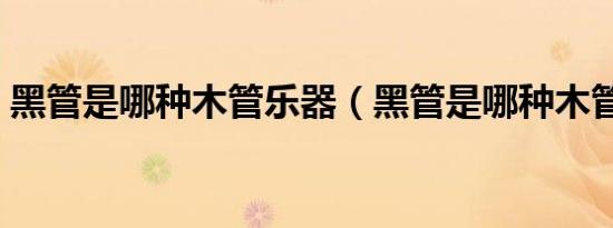 黑管是哪种木管乐器（黑管是哪种木管乐器）