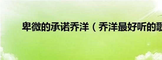 卑微的承诺乔洋（乔洋最好听的歌）