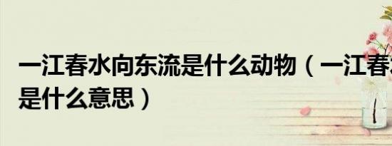 一江春水向东流是什么动物（一江春水向东流是什么意思）