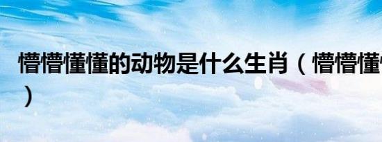 懵懵懂懂的动物是什么生肖（懵懵懂懂的意思）