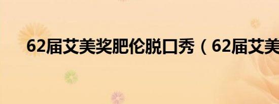 62届艾美奖肥伦脱口秀（62届艾美奖）