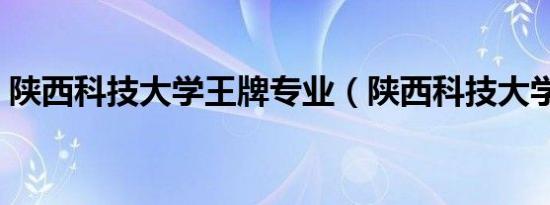 陕西科技大学王牌专业（陕西科技大学教务）