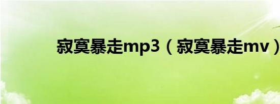 寂寞暴走mp3（寂寞暴走mv）