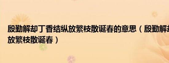 殷勤解却丁香结纵放繁枝散诞春的意思（殷勤解却丁香结纵放繁枝散诞春）