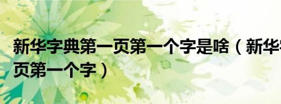 新华字典第一页第一个字是啥（新华字典第一页第一个字）