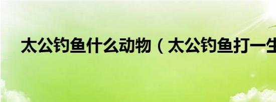 太公钓鱼什么动物（太公钓鱼打一生肖）