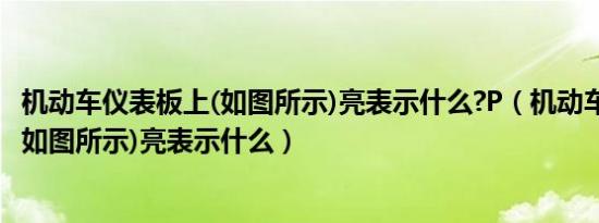 机动车仪表板上(如图所示)亮表示什么?P（机动车仪表板上(如图所示)亮表示什么）