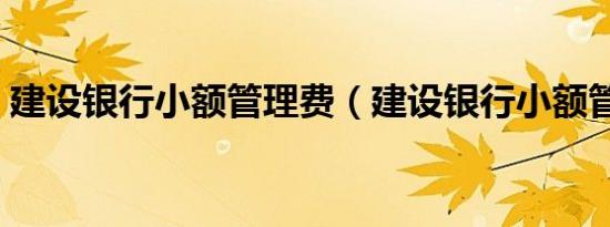 建设银行小额管理费（建设银行小额管理费）