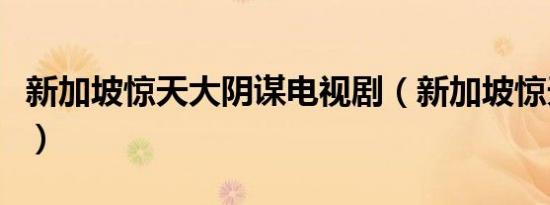 新加坡惊天大阴谋电视剧（新加坡惊天大阴谋）