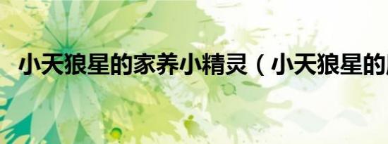 小天狼星的家养小精灵（小天狼星的魔杖）