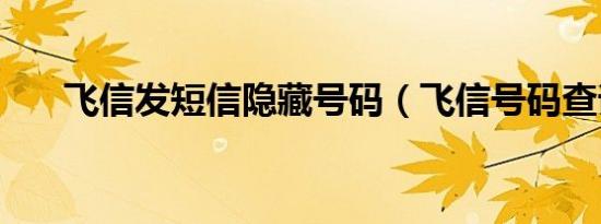 飞信发短信隐藏号码（飞信号码查询）