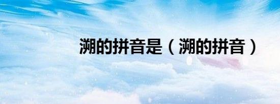溯的拼音是（溯的拼音）