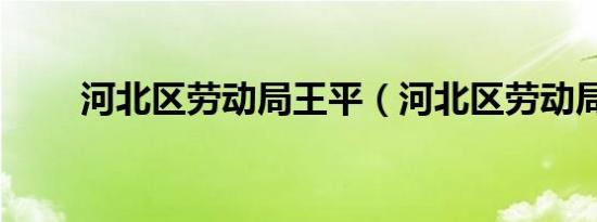 河北区劳动局王平（河北区劳动局）