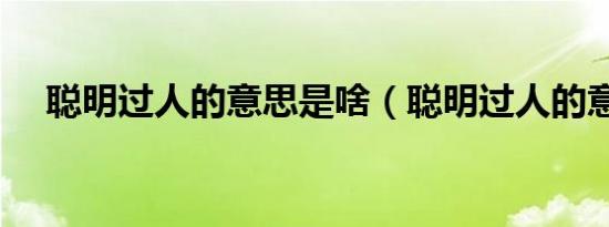 聪明过人的意思是啥（聪明过人的意思）