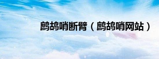 鹧鸪哨断臂（鹧鸪哨网站）