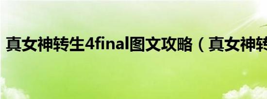 真女神转生4final图文攻略（真女神转生4f）