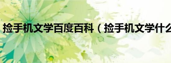 捡手机文学百度百科（捡手机文学什么意思）