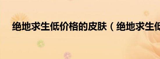 绝地求生低价格的皮肤（绝地求生低价）