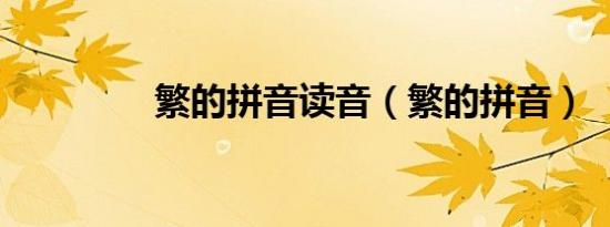 繁的拼音读音（繁的拼音）