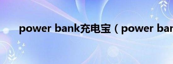 power bank充电宝（power bank）