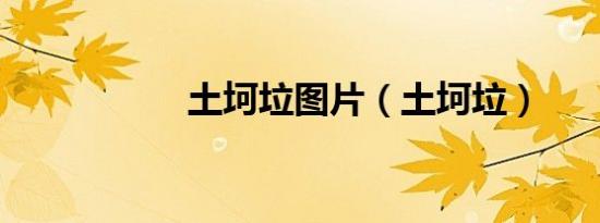 土坷垃图片（土坷垃）