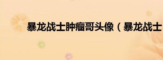 暴龙战士肿瘤哥头像（暴龙战士）