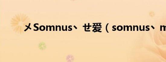 メSomnus丶せ爱（somnus丶m）
