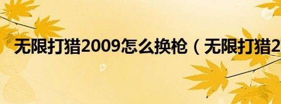 无限打猎2009怎么换枪（无限打猎2009）