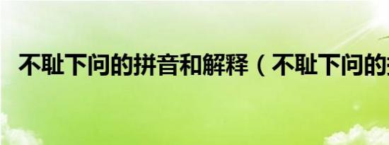 不耻下问的拼音和解释（不耻下问的拼音）