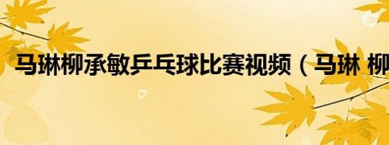 马琳柳承敏乒乓球比赛视频（马琳 柳承敏）