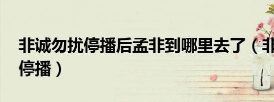 非诚勿扰停播后孟非到哪里去了（非诚勿扰 停播）