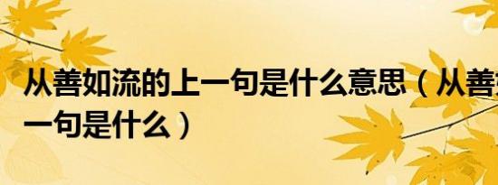 从善如流的上一句是什么意思（从善如流的上一句是什么）