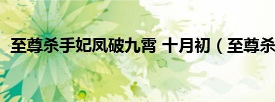 至尊杀手妃凤破九霄 十月初（至尊杀手妃）