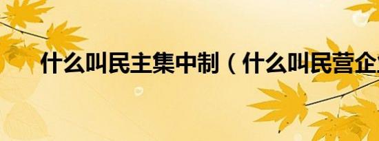 什么叫民主集中制（什么叫民营企业）