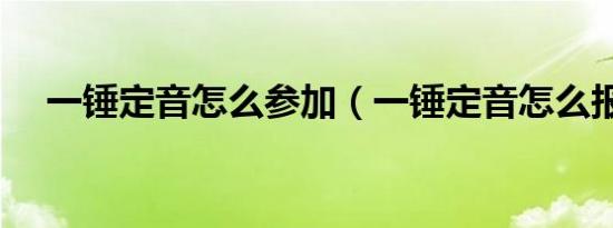 一锤定音怎么参加（一锤定音怎么报名）