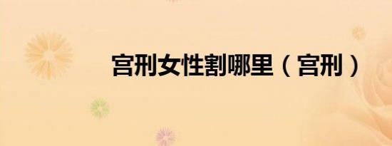 宫刑女性割哪里（宫刑）