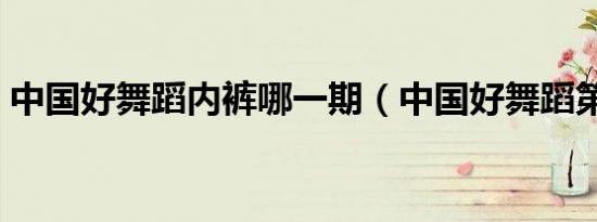 中国好舞蹈内裤哪一期（中国好舞蹈第一期）